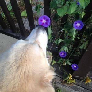 Meet your Posher, Christianah